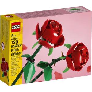 LEGO Creator 40725 Fiori di ciliegio - Il Giocartolaio