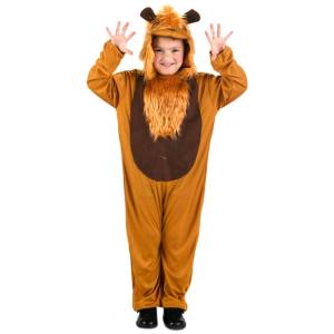 COSTUME LEONE MIS 5-6 ANNI