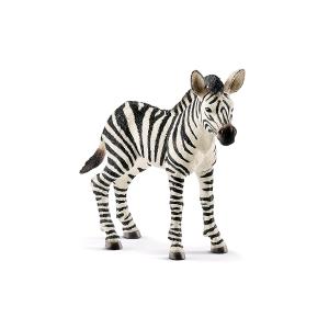 ANIMALI WILD LIFE PULEDRO DI ZEBRA