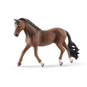 HORSE CLUB CAVALLO CASTRONE TRAKEHNER 